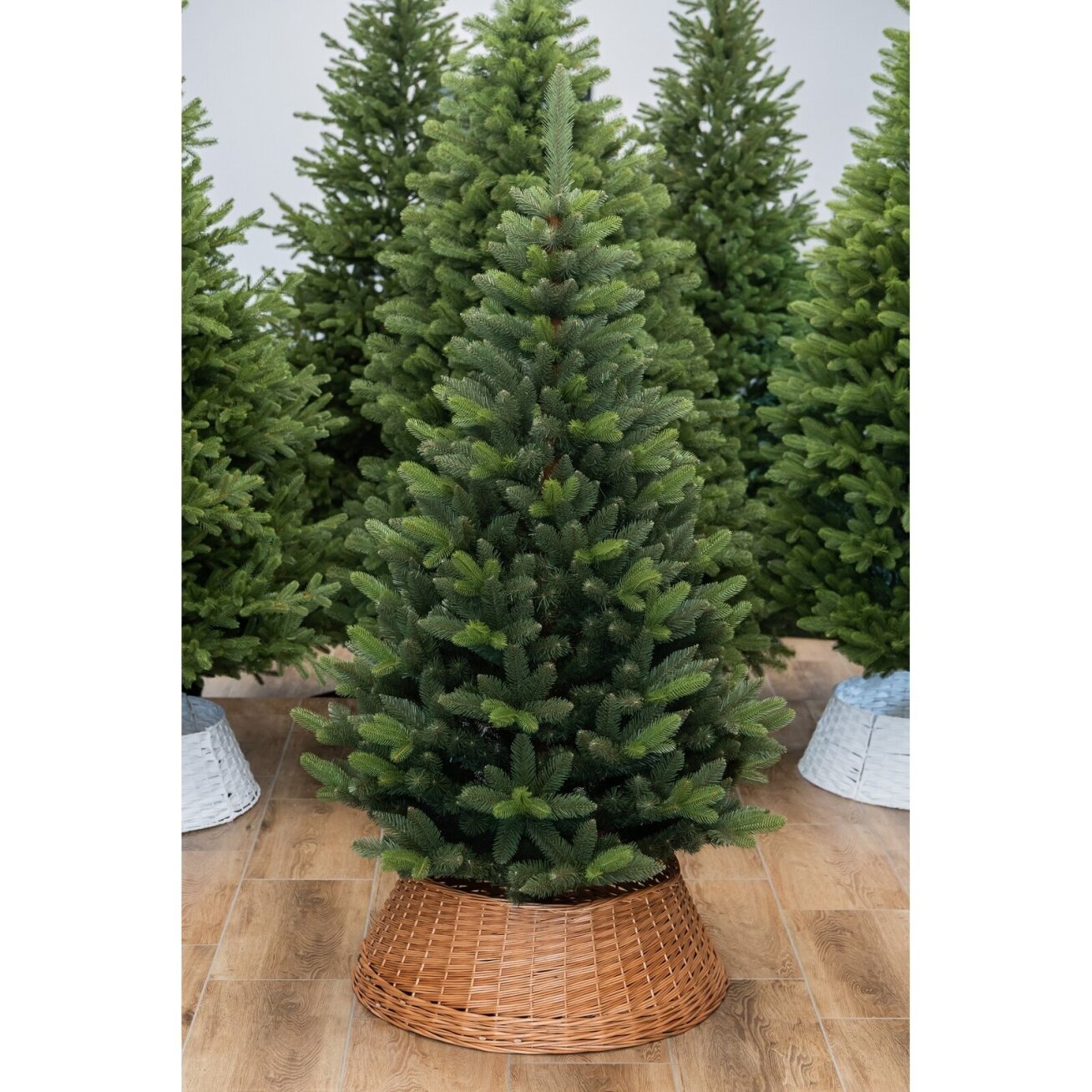 Dirbtinė eglutė BERGAMO Premium PVC + PE 300 cm 7
