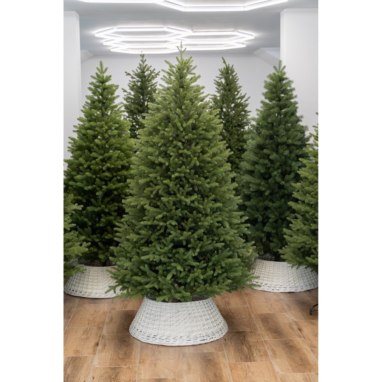 Dirbtinė eglutė ROMA 100% PE 180 cm – Premium 1