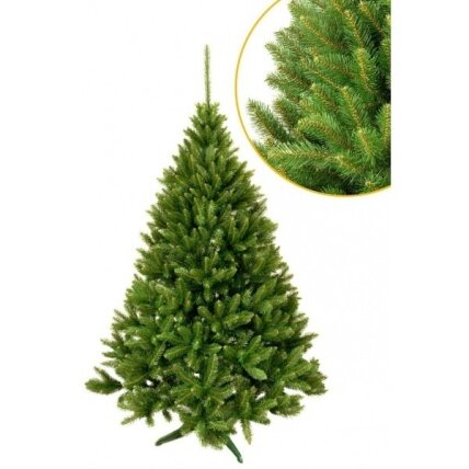Dirbtinė eglutė Kaukaziška 300 cm 2