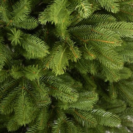 Dirbtinė Kalėdų eglutė Skandinaviška 100 % PE 180 cm – natūraliai atrodanti 3 Dirbtinė Kalėdų eglutė Skandinaviška 100 % PE 180 cm – natūraliai atrodanti 3