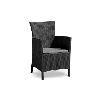 Fotelis IOWA graphite