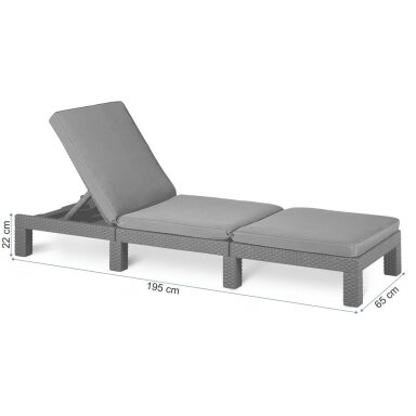 Gultas DAYTONA Graphite