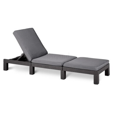 Gultas DAYTONA Graphite