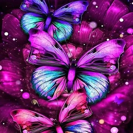 Kilimėlis BUTTERFLY 120x160cm 4 Kilimėlis BUTTERFLY 120x160cm 4